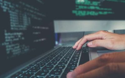 Weboldal, SEO, és közösségi média: Kulcs az online sikerhez